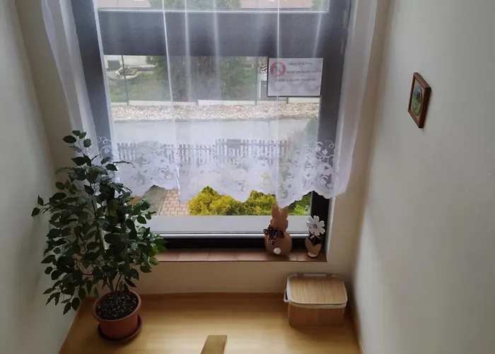 Vakantiehuis U Pepana Velke Svatonovice